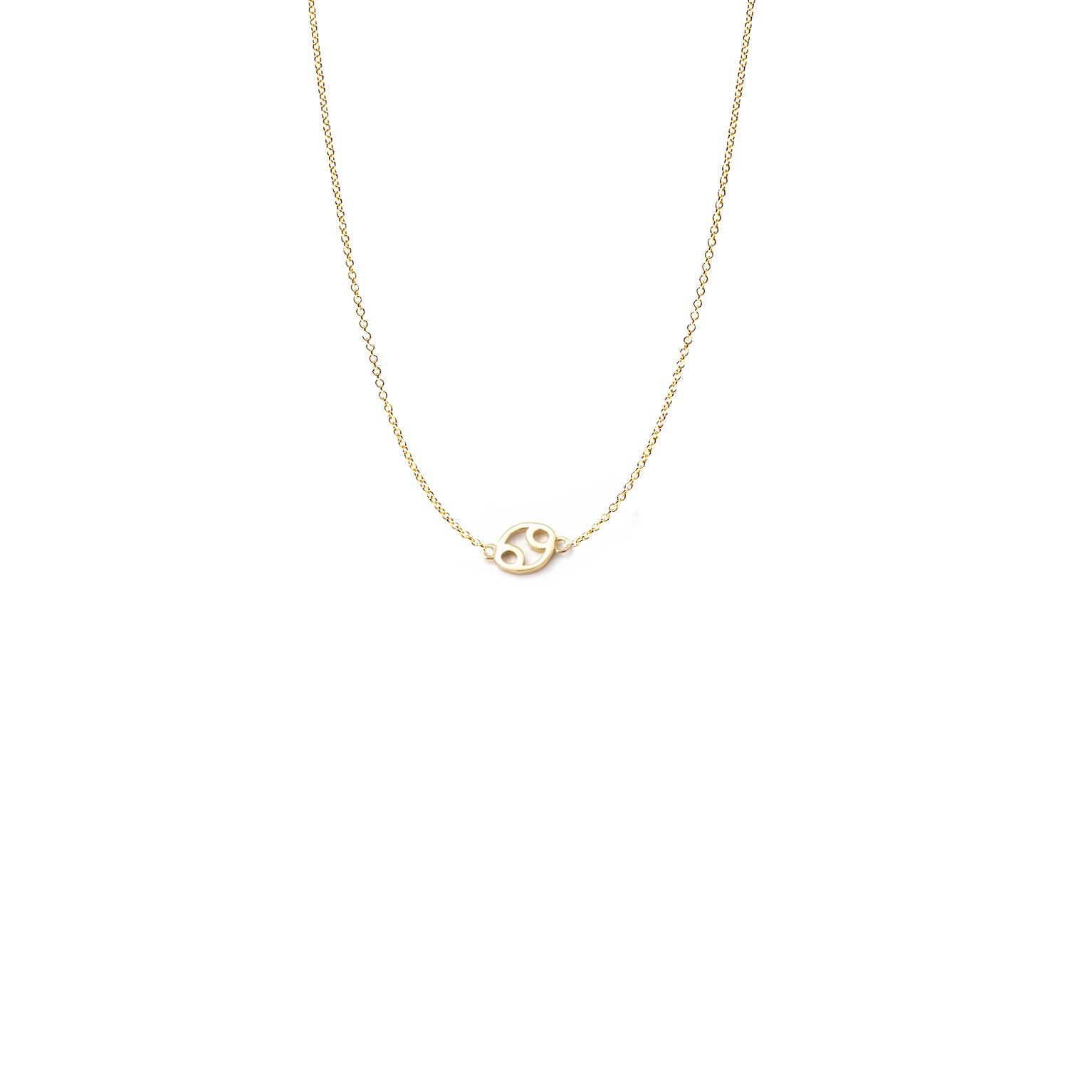 Mini Zodiac Necklace