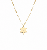 Liz Star of David Paperclip Necklace