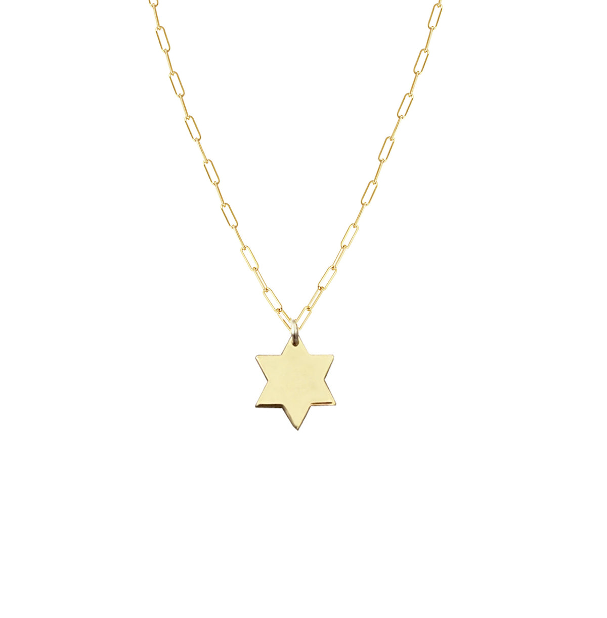 Liz Star of David Paperclip Necklace