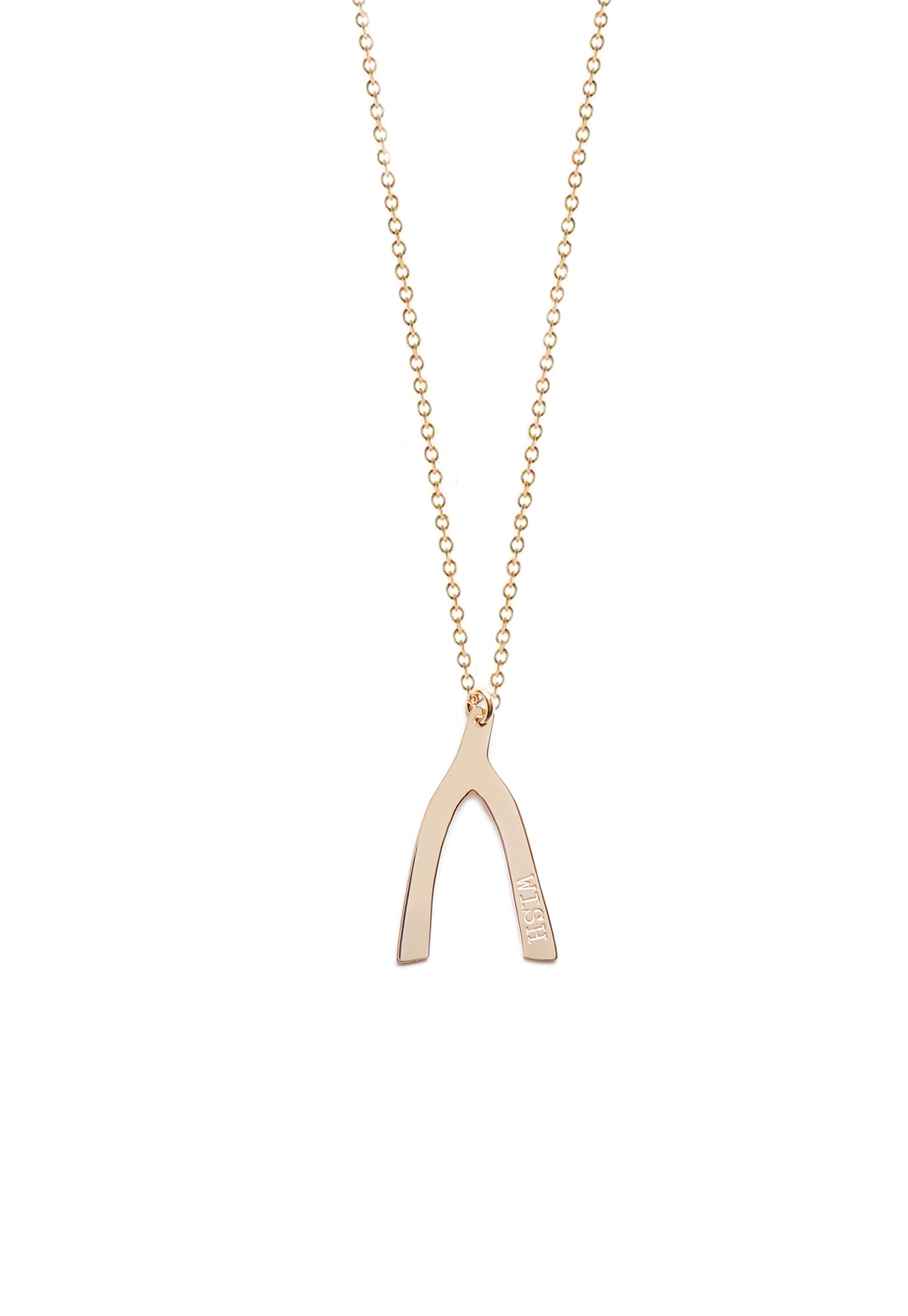 Lucky Wishbone Necklace