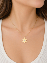 Liz Star of David Paperclip Necklace