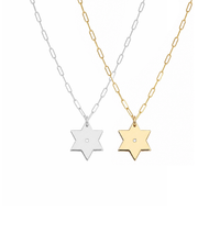 Liz Star of David Paperclip Necklace