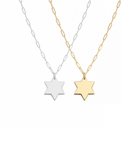 Liz Star of David Paperclip Necklace